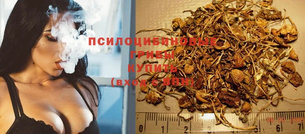 винт Аркадак