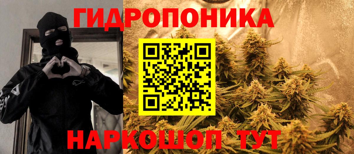 Бошки Шишки сатива Муравленко